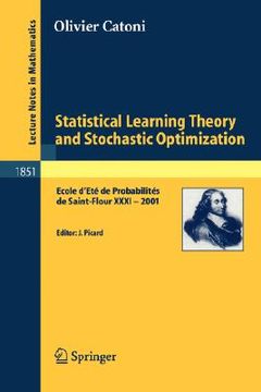 portada statistical learning theory and stochastic optimization: ecole d'ete de probabilites de saint-flour xxxi - 2001