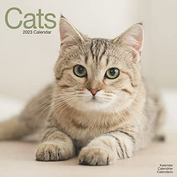 portada 2023 Cats Wall Calendar 