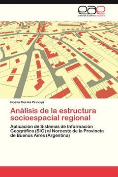 portada analisis de la estructura socioespacial regional (in Spanish)