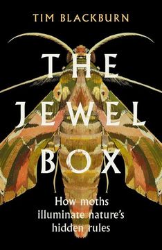 portada The Jewel box: How Moths Illuminate Nature's Hidden Rules