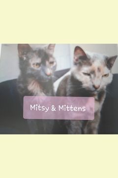 portada Mitsy and Mittens (en Inglés)
