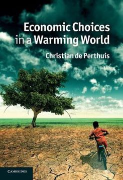 portada Economic Choices in a Warming World (en Inglés)