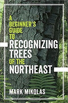 portada A Beginner's Guide to Recognizing Trees of the Northeast (in English)