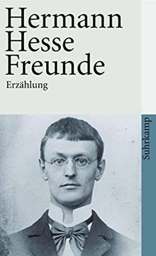 portada Freunde: Erzählung (Suhrkamp Taschenbuch) (in German)