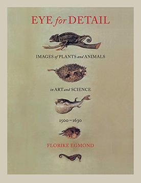 portada Eye for Detail: Images of Plants and Animals in Art and Science, 1500-1630