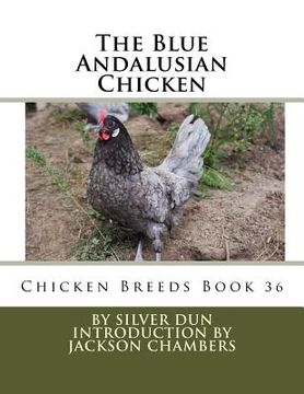 portada The Blue Andalusian Chicken: Chicken Breeds Book 36 (en Inglés)