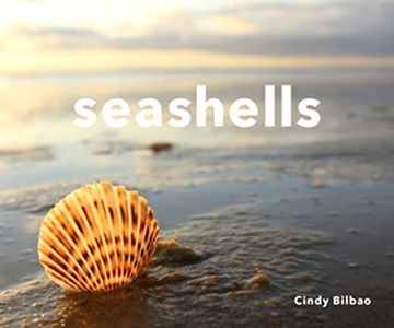 portada Seashells (in English)