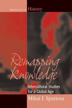 portada Remapping Knowledge: Intercultural Studies for a Global age (Making Sense of History) (in English)