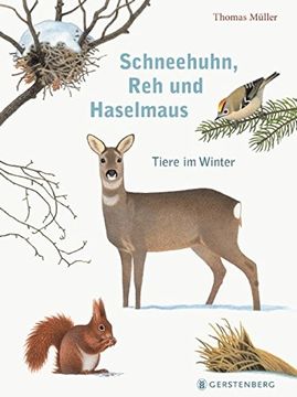 portada Schneehuhn, reh und Haselmaus: Tiere im Winter (en Alemán)
