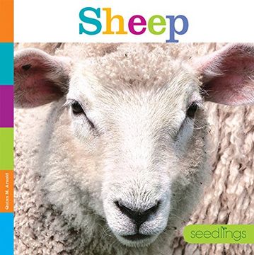 portada Seedlings: Sheep