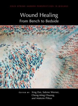 portada Wound Healing: From Bench to Bedside (en Inglés)