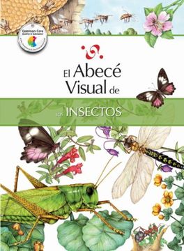 portada El Abece Visual de los Insectos = the Illustrated Basics of Insects (in Spanish)