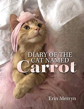 portada Diary of the cat Named Carrot (en Inglés)
