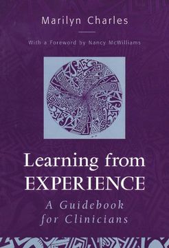 portada Learning From Experience: A Guid for Clinicians 