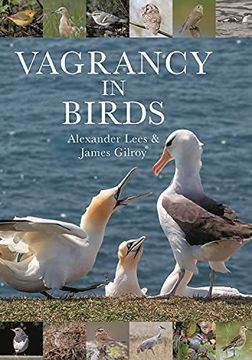 portada Vagrancy in Birds (en Inglés)