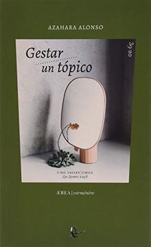 portada Gestar un Tópico: 39 (Ærea) (in Spanish)