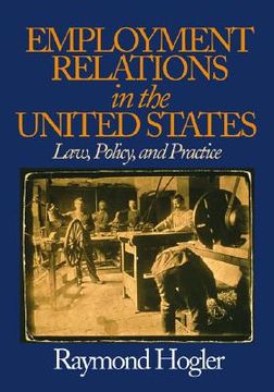portada employment relations in the united states: law, policy, and practice (en Inglés)