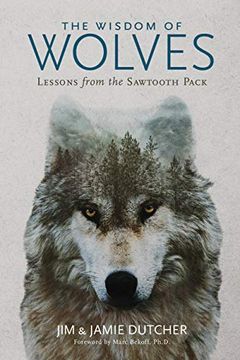 portada The Wisdom of Wolves: Lessons From the Sawtooth Pack 