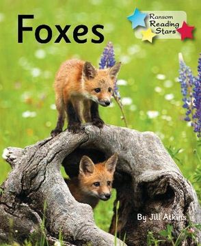 portada Foxes (Reading Stars) 