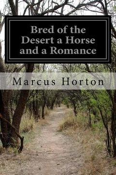 portada Bred of the Desert a Horse and a Romance (en Inglés)