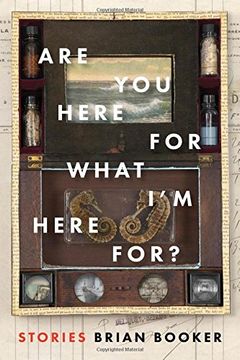 portada Are You Here For What I'm Here For?