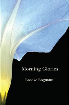 portada Morning Glories & Other Poems (en Inglés)