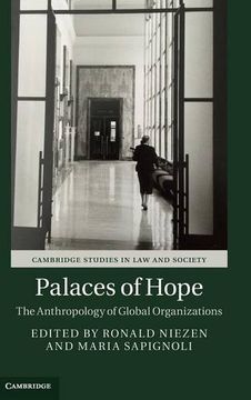 portada Palaces of Hope (Cambridge Studies in law and Society) (en Inglés)