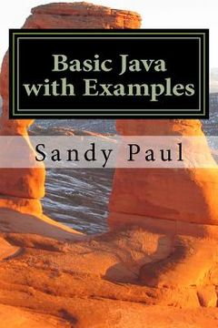 portada Basic Java with Examples (en Inglés)
