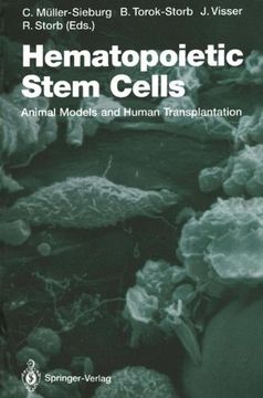 portada hematopoietic stem cells: animal models and human transplantation (in English)