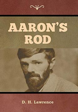 portada Aaron's rod (en Inglés)