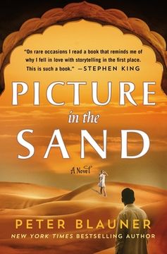 portada Picture in the Sand: A Novel (in English)