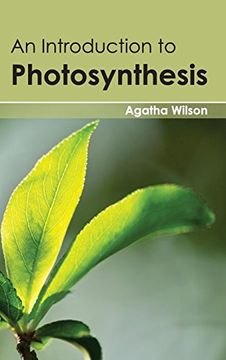 portada Introduction to Photosynthesis (in English)