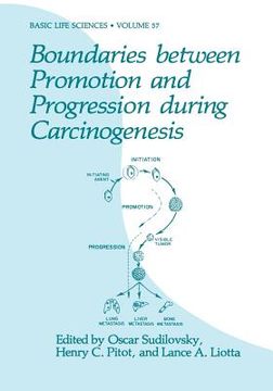 portada Boundaries Between Promotion and Progression During Carcinogenesis (en Inglés)