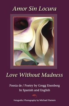 portada Amor Sin Locura Love Without Madness (in English)