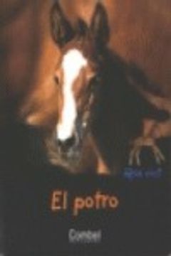 portada El potro (¿Quién eres? Animales) (in Spanish)