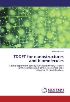 portada tddft for nanostructures and biomolecules (en Inglés)