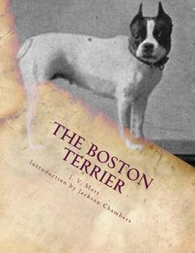 portada The Boston Terrier (in English)