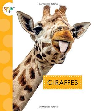 portada Giraffes (in English)