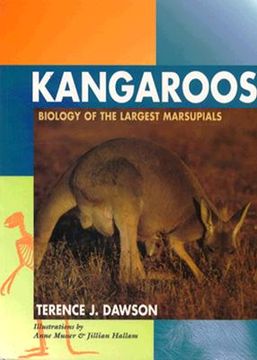 portada kangaroos: biology of the largest marsupials (en Inglés)