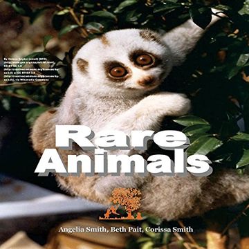 portada Rare Animals (Bright) (en Inglés)