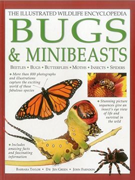 portada The Illustrated Wildlife Encyclopedia: Bugs & Minibeasts: Beetles, Bugs, Butterflies, Moths, Insects, Spiders (en Inglés)