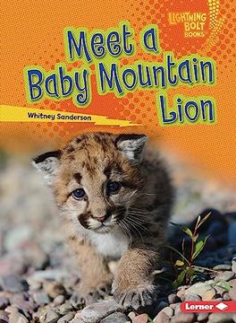 portada Meet a Baby Mountain Lion (en Inglés)