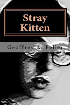 portada Stray Kitten