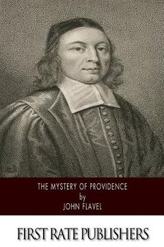 portada The Mystery of Providence (in English)