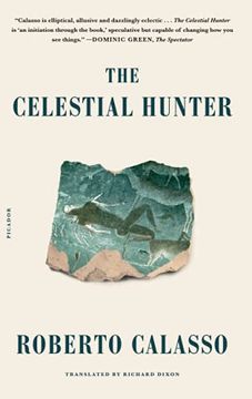 portada The Celestial Hunter (in English)