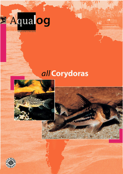 portada All Corydoras (in German)
