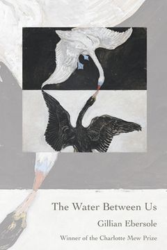 portada The Water Between Us (en Inglés)