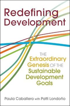 portada Redefining Development: The Extraordinary Genesis of the Sustainable Development Goals (The Policy and Practice of Governance) (en Inglés)
