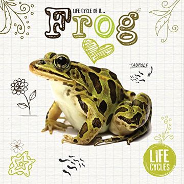 portada Life Cycle of a Frog (Life Cycles)