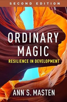 portada Ordinary Magic: Resilience in Development